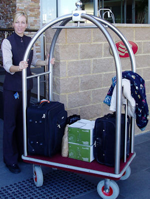 stainless steel birdcage trolley - pictured with grey pneumatics